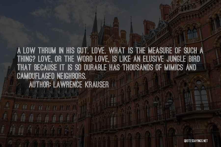 Love Like Bird Quotes By Lawrence Krauser