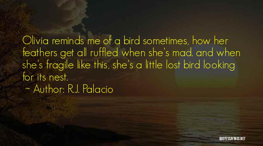 Love Like Bird Quotes By R.J. Palacio