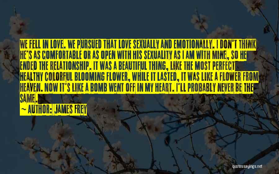 Love Like Heaven Quotes By James Frey