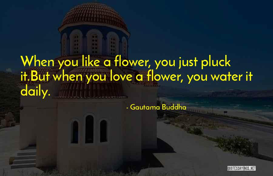 Love Like Quotes By Gautama Buddha Love Like Quotes By Gautama Buddha