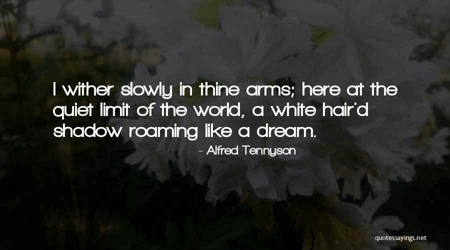 Love Like Shadow Quotes By Alfred Tennyson