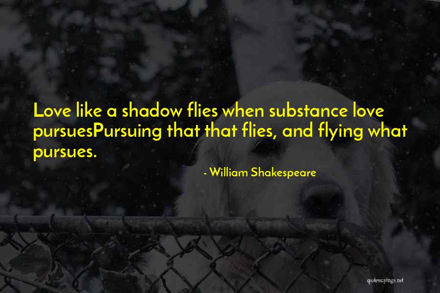 Love Like Shadow Quotes By William Shakespeare