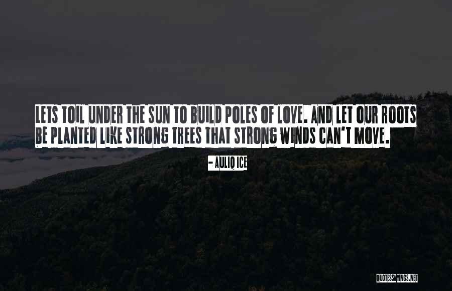 Love Like War Quotes By Auliq Ice Love Like War Quotes By Auliq Ice