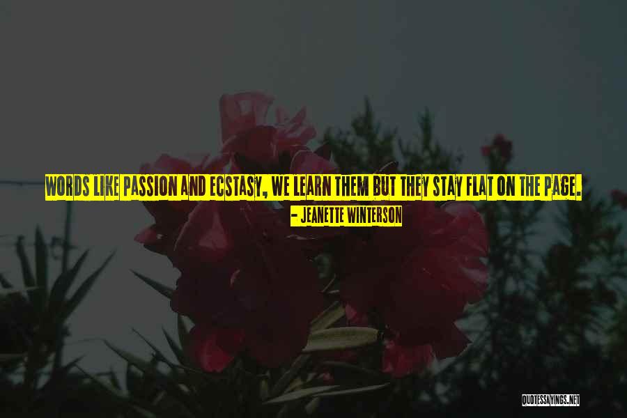 Love Like War Quotes By Jeanette Winterson Love Like War Quotes By Jeanette Winterson