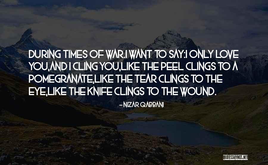 Love Like War Quotes By Nizar Qabbani