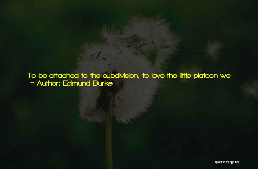 Love Link Quotes By Edmund Burke