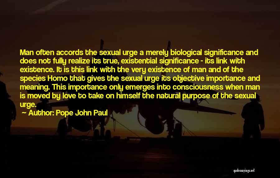 Love Link Quotes By Pope John Paul