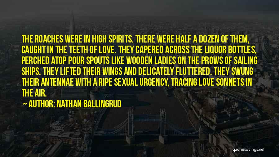 Love Liquor Quotes By Nathan Ballingrud