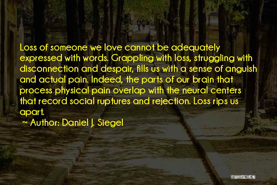 Love Loss And Pain Quotes By Daniel J. Siegel