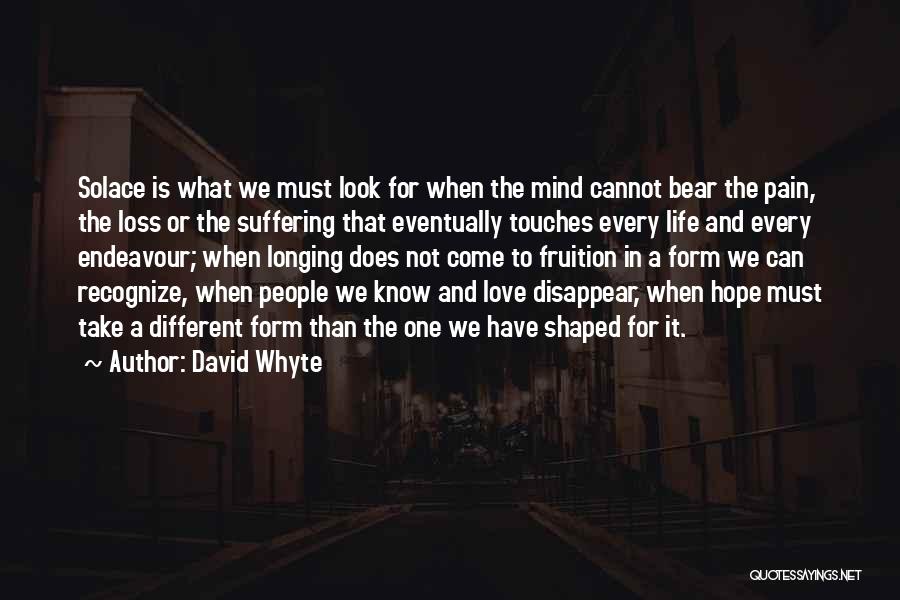 Love Loss And Pain Quotes By David Whyte