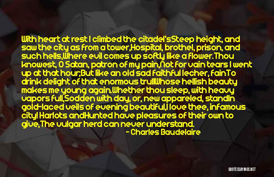 Love Makes All Things Beautiful Quotes By Charles Baudelaire