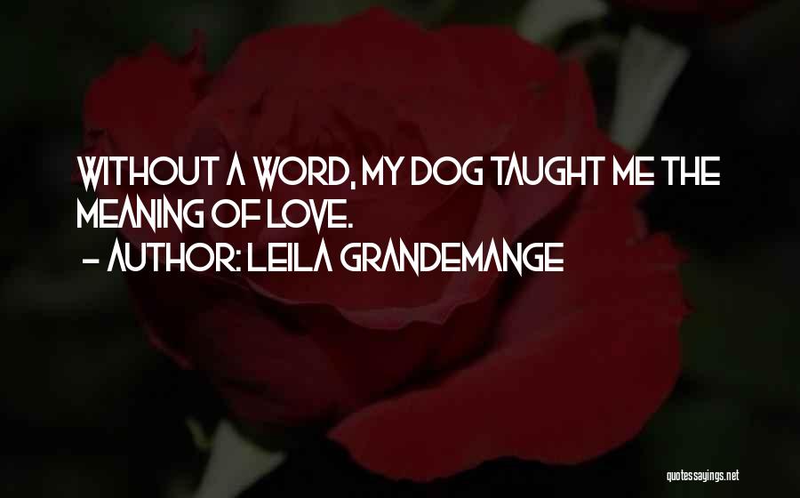 Love Me Love My Dog Quotes By Leila Grandemange