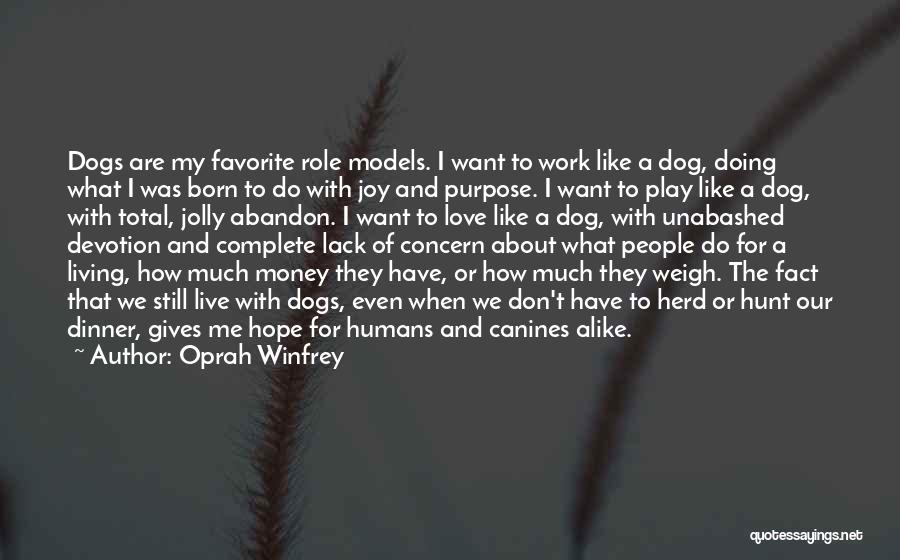Love Me Love My Dog Quotes By Oprah Winfrey Love Me Love My Dog Quotes By Oprah Winfrey