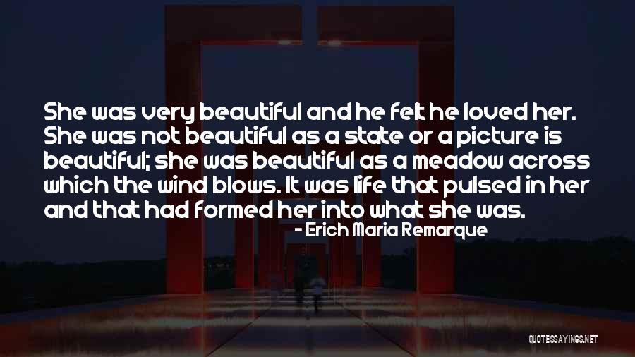 Love Meadow Quotes By Erich Maria Remarque