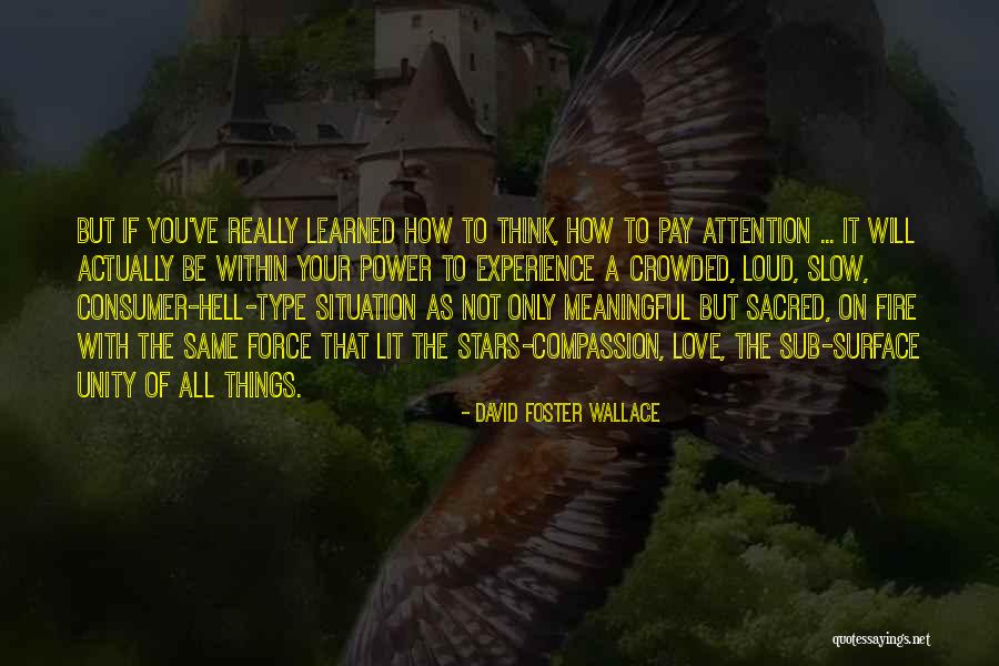 Love Meaningful Quotes By David Foster Wallace