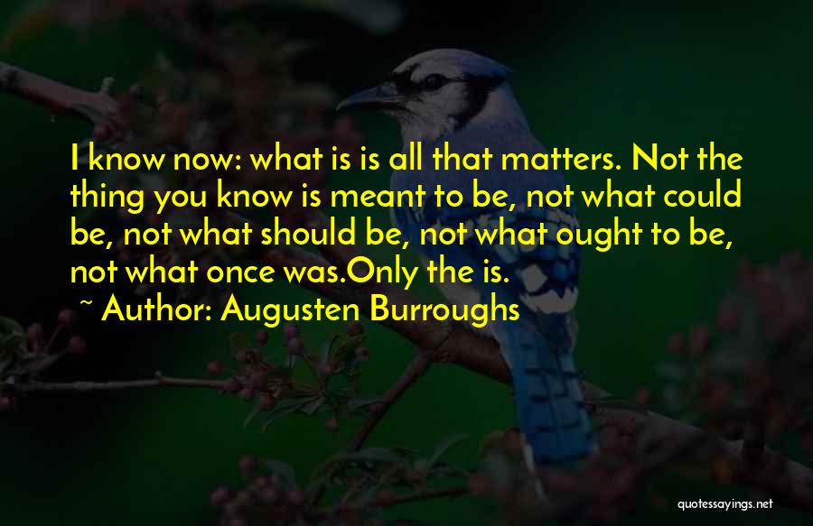 Love Meant To Be Quotes By Augusten Burroughs