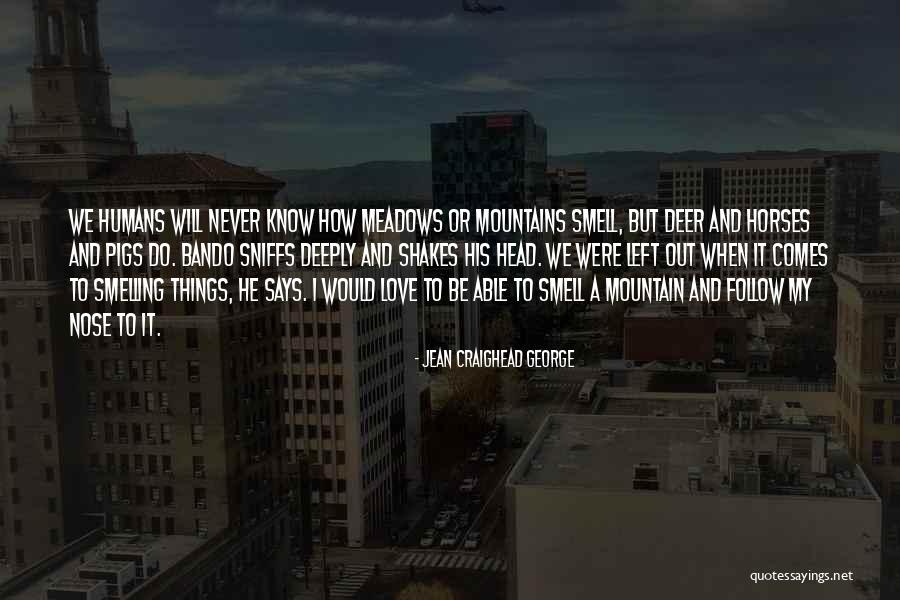 Love Mountain Quotes By Jean Craighead George Love Mountain Quotes By Jean Craighead George