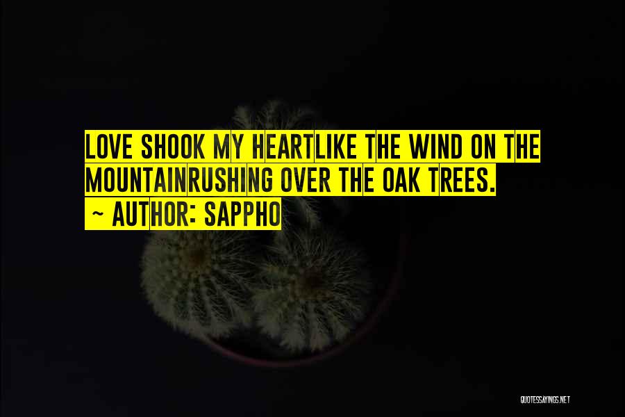 Love Mountain Quotes By Sappho