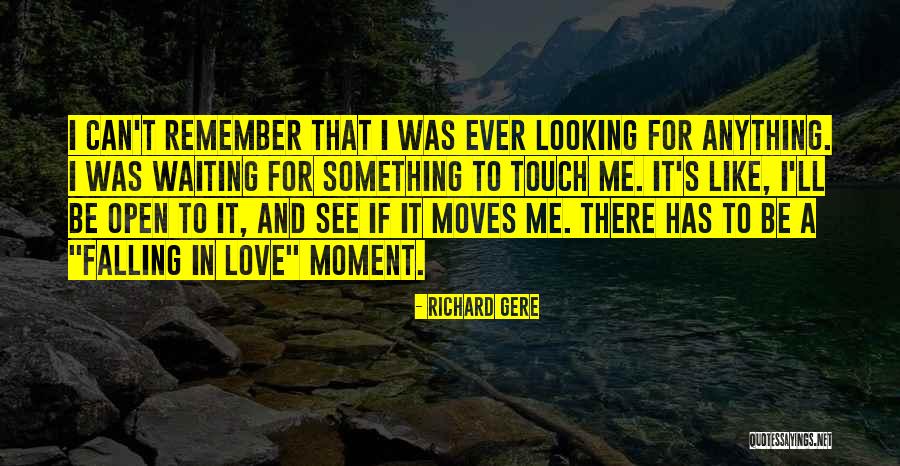 Love Moves Quotes By Richard Gere