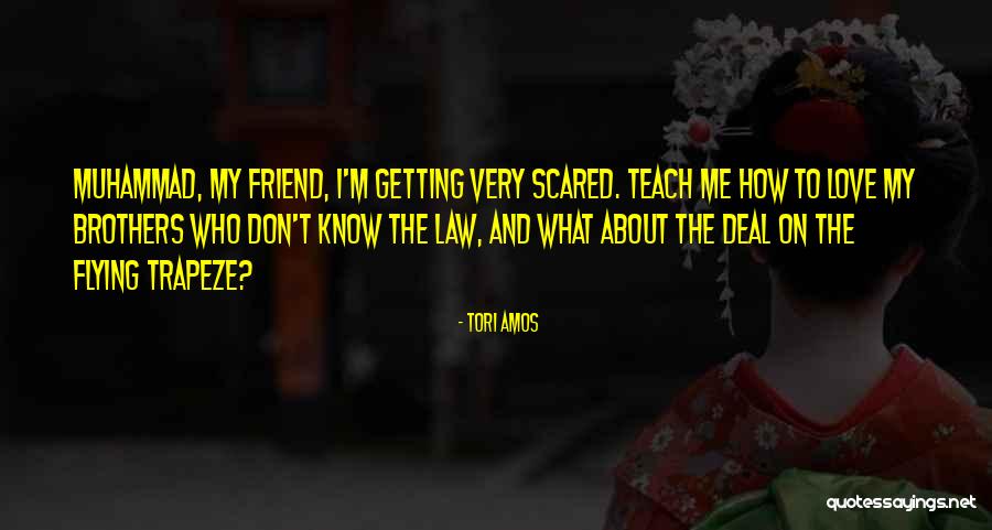 Love My Brother In Law Quotes By Tori Amos Love My Brother In Law Quotes By Tori Amos