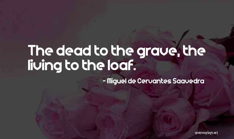 Love My Grandbabies Quotes By Miguel De Cervantes Saavedra Love My Grandbabies Quotes By Miguel De Cervantes Saavedra