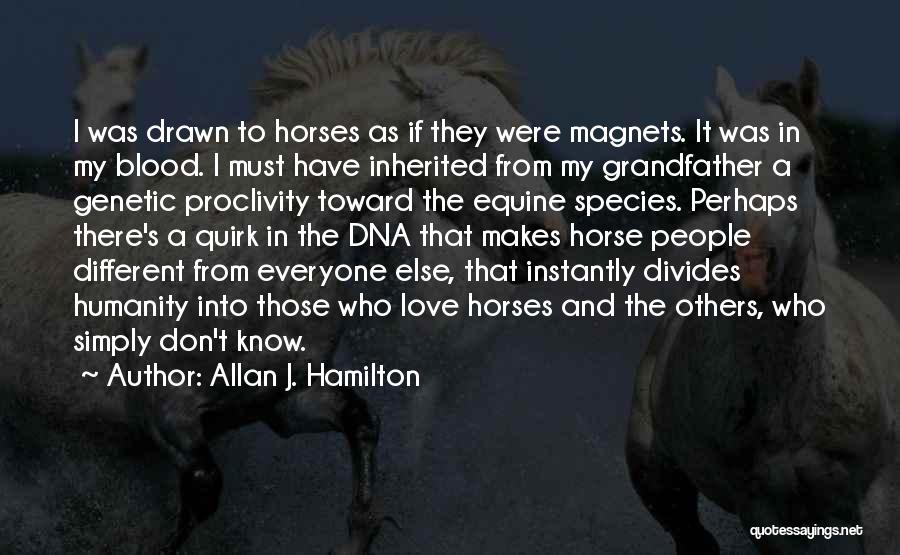 Love My Horse Quotes By Allan J. Hamilton