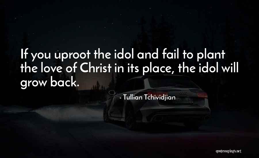 Love My Idol Quotes By Tullian Tchividjian