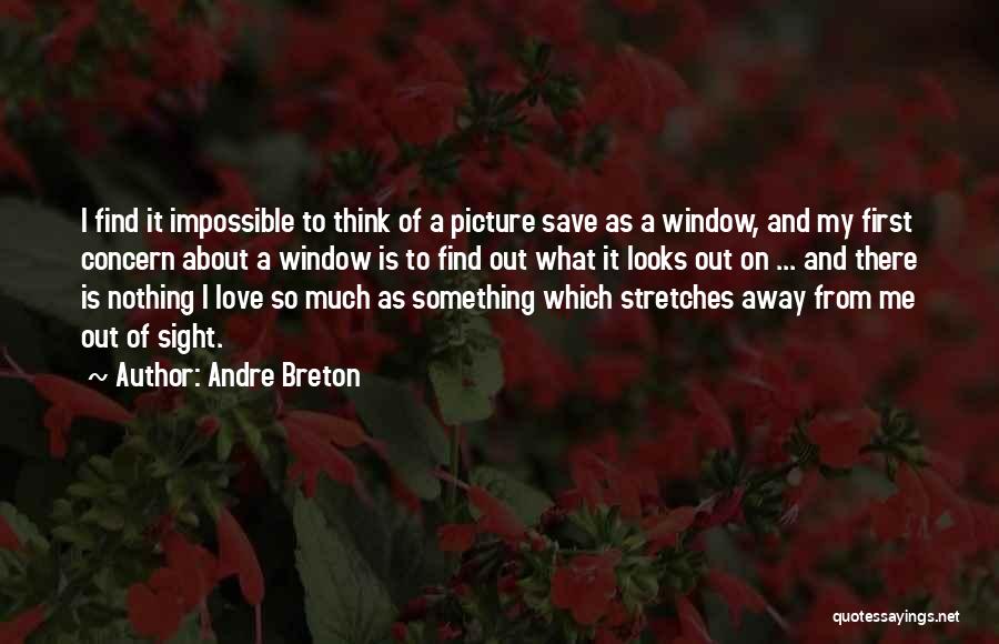 Love My Looks Quotes By Andre Breton