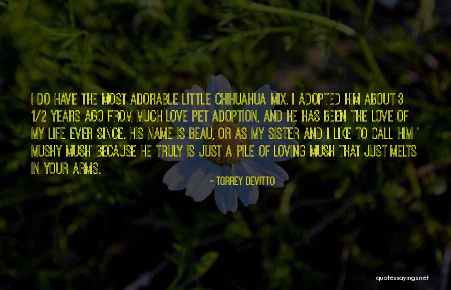 Love My Pet Quotes By Torrey DeVitto