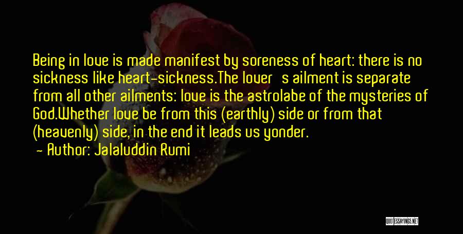 Love Mysteries Quotes By Jalaluddin Rumi