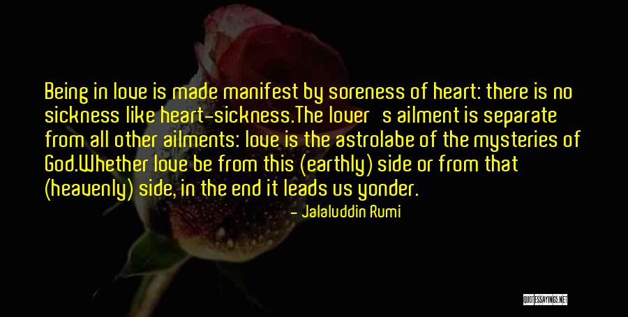 Love Mysteries Quotes By Jalaluddin Rumi