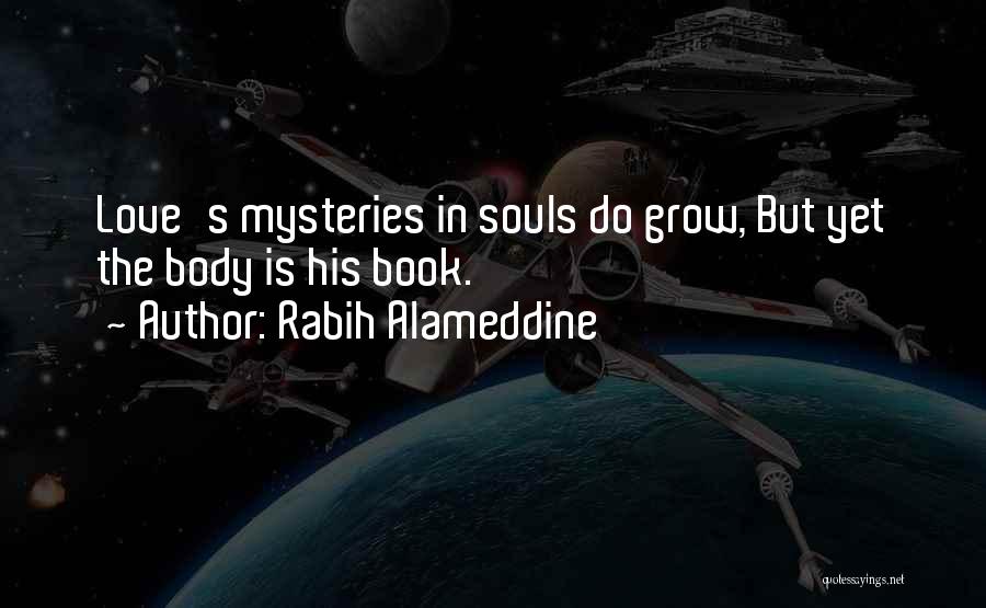 Love Mysteries Quotes By Rabih Alameddine