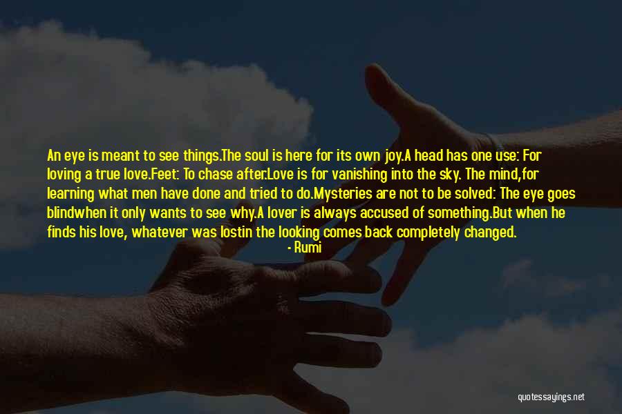 Love Mysteries Quotes By Rumi