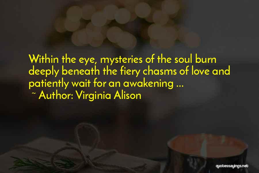 Love Mysteries Quotes By Virginia Alison