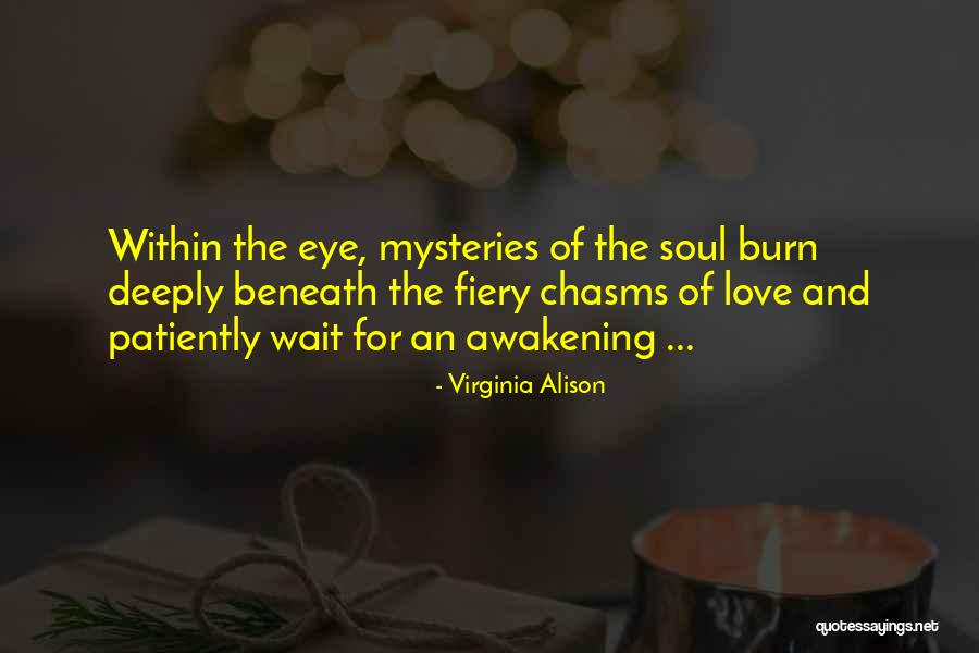 Love Mysteries Quotes By Virginia Alison