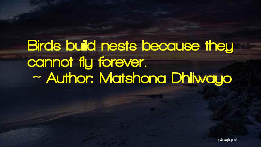 Love Nests Quotes By Matshona Dhliwayo