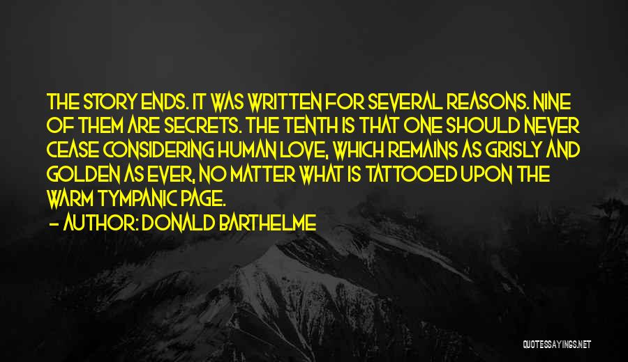 Love Never Ends Quotes By Donald Barthelme