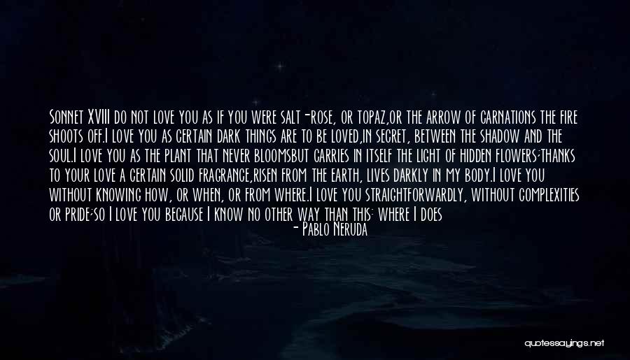 Love Never Exist Quotes By Pablo Neruda