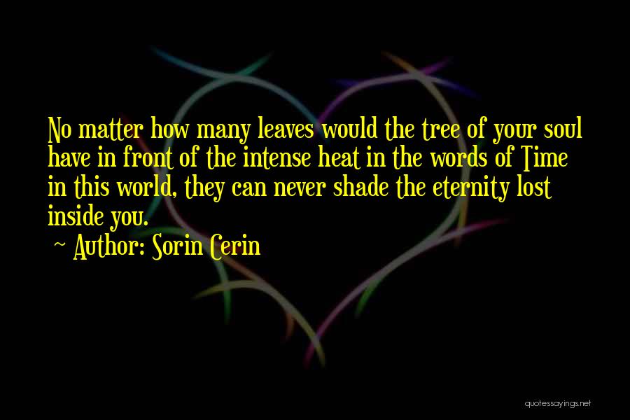 Love Never Lost Quotes By Sorin Cerin