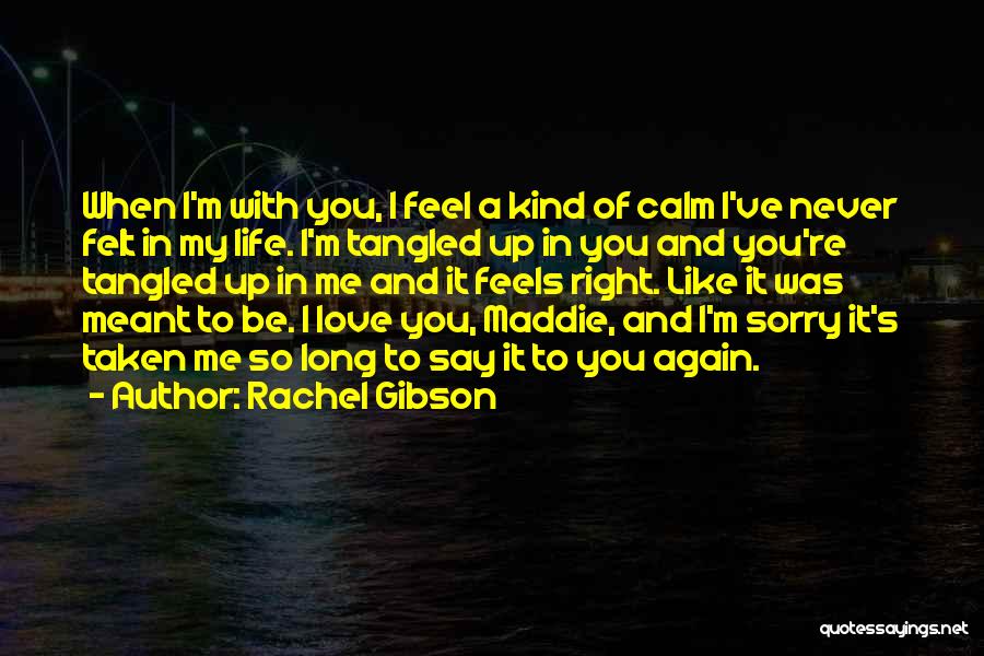 Love Never Meant To Be Quotes By Rachel Gibson