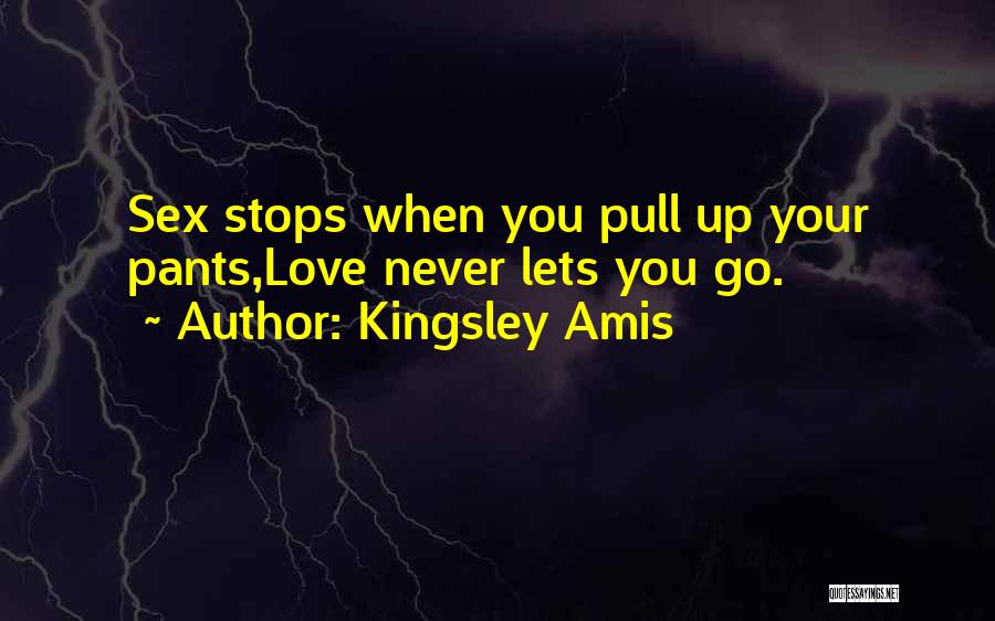 Love Never Stops Quotes By Kingsley Amis