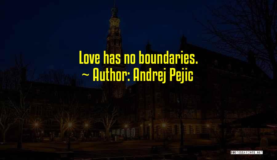 Love No Boundaries Quotes By Andrej Pejic
