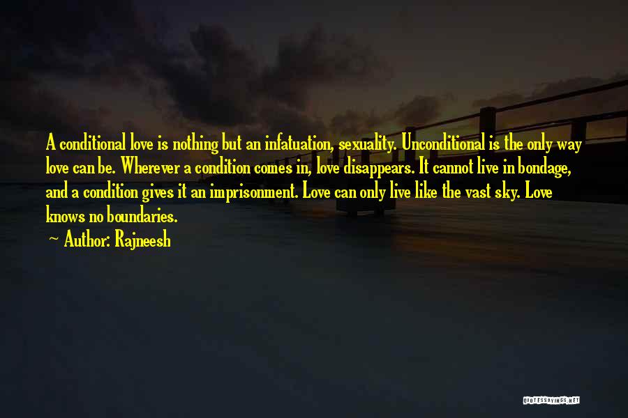 Love No Boundaries Quotes By Rajneesh