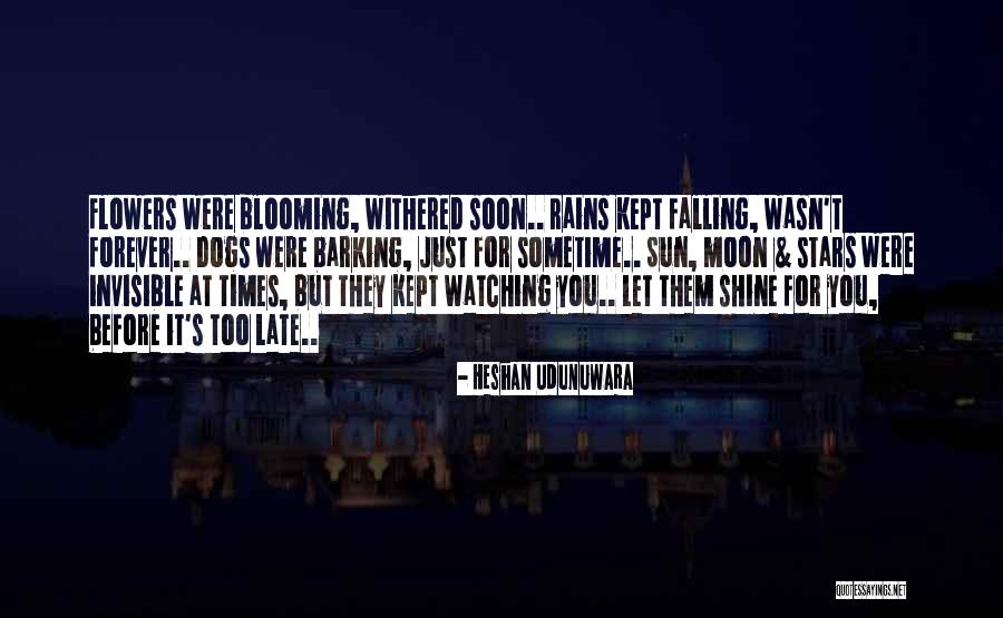 Love Now Before It's Too Late Quotes By Heshan Udunuwara Love Now Before It's Too Late Quotes By Heshan Udunuwara