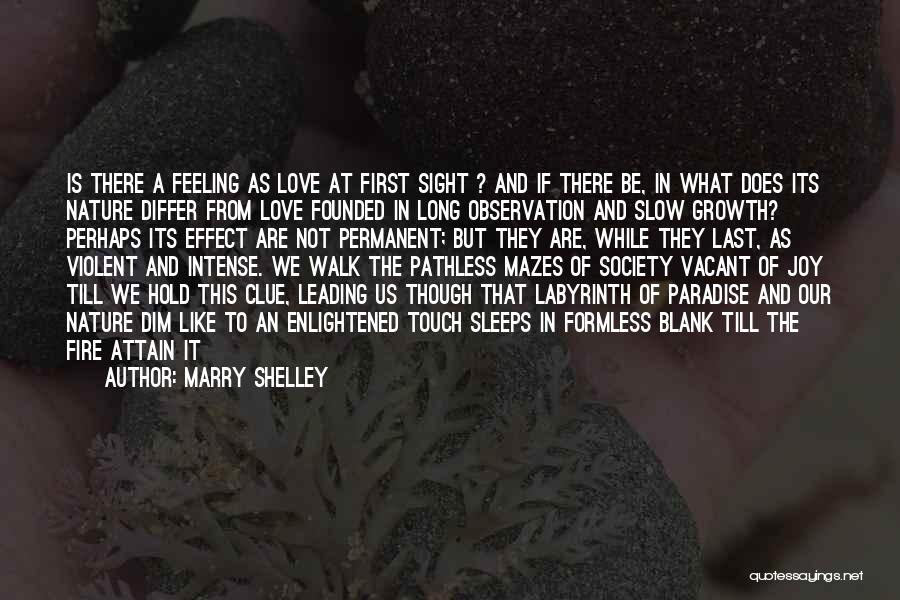 Love Observation Quotes By Marry Shelley