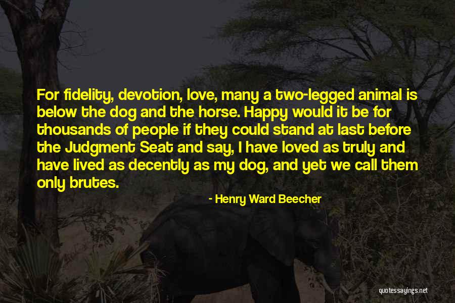 Love Of A Horse Quotes By Henry Ward Beecher Love Of A Horse Quotes By Henry Ward Beecher