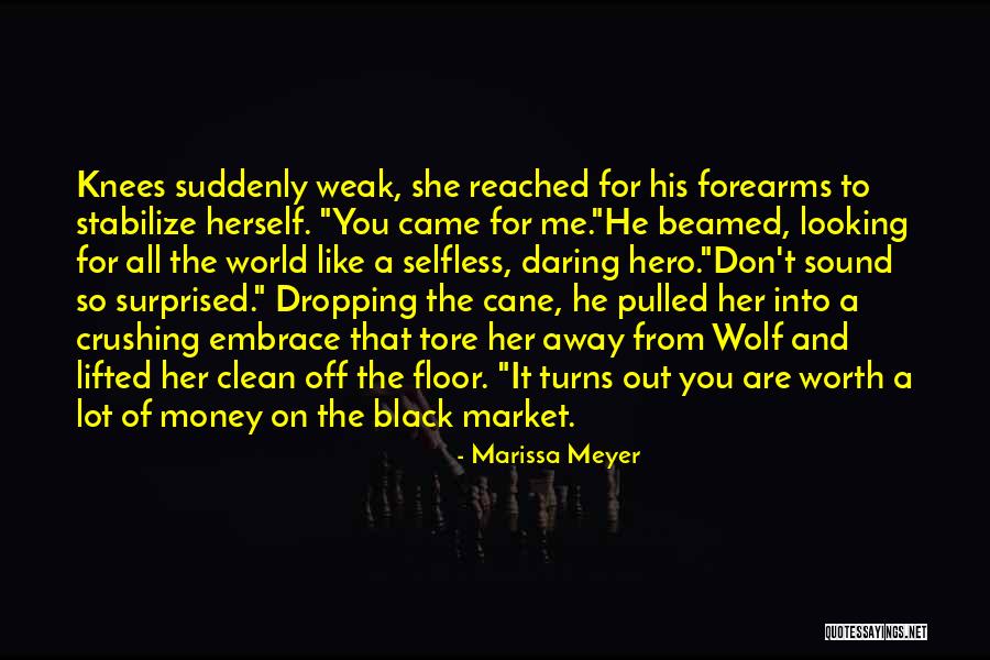 Love Of Money Quotes By Marissa Meyer