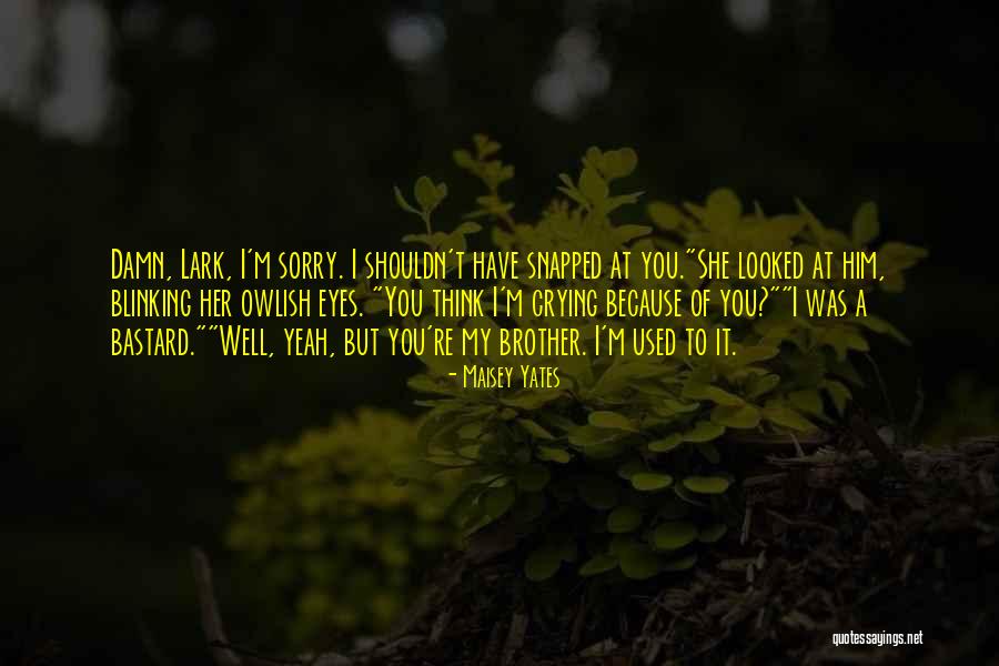 Love Of My Brother Quotes By Maisey Yates Love Of My Brother Quotes By Maisey Yates