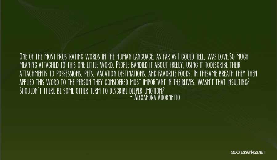 Love Of Pets Quotes By Alexandra Adornetto Love Of Pets Quotes By Alexandra Adornetto