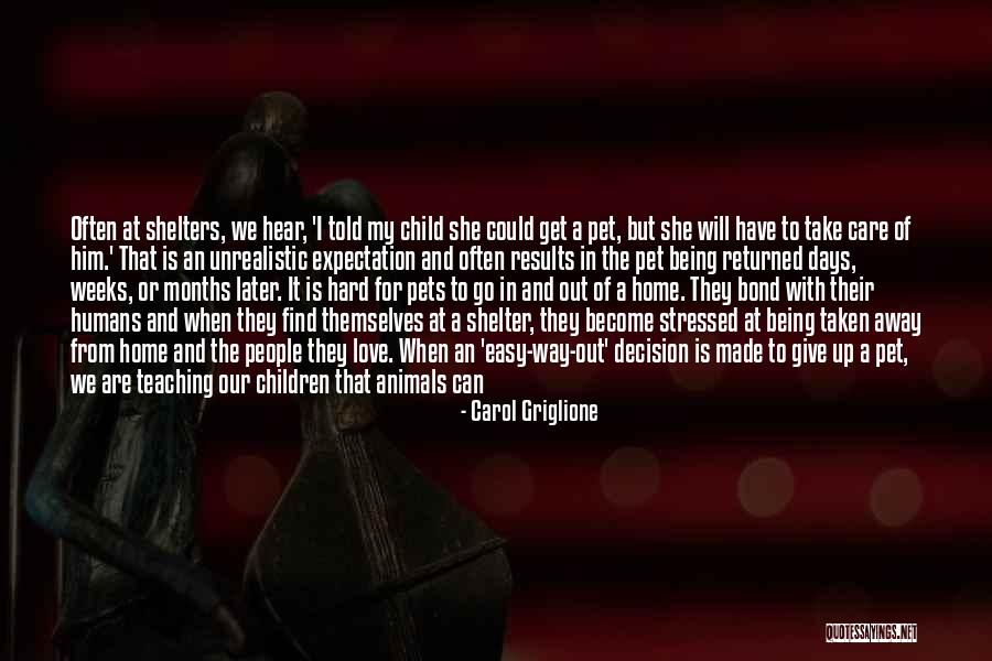 Love Of Pets Quotes By Carol Griglione Love Of Pets Quotes By Carol Griglione